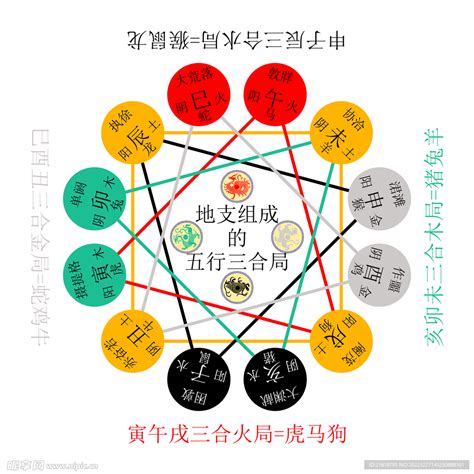 寅 五行|十二地支类象详解 – 十二地支阴阳五行属性